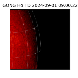 gong - 2024-09-01T09:00:22