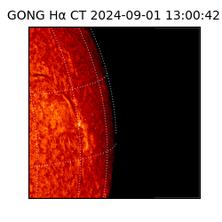 gong - 2024-09-01T13:00:42