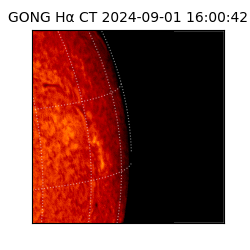 gong - 2024-09-01T16:00:42