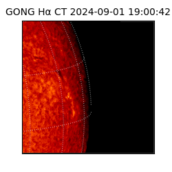 gong - 2024-09-01T19:00:42