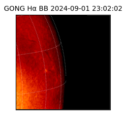 gong - 2024-09-01T23:02:02