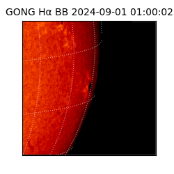 gong - 2024-09-01T01:00:02