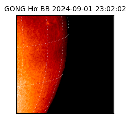 gong - 2024-09-01T23:02:02