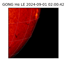 gong - 2024-09-01T02:00:42