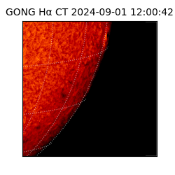 gong - 2024-09-01T12:00:42