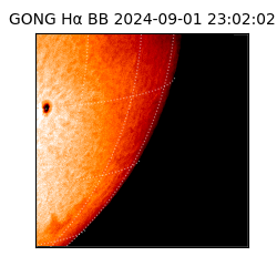 gong - 2024-09-01T23:02:02