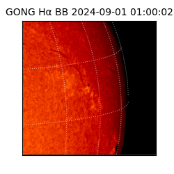 gong - 2024-09-01T01:00:02