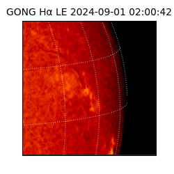 gong - 2024-09-01T02:00:42