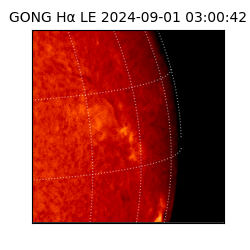 gong - 2024-09-01T03:00:42