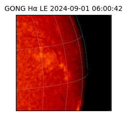 gong - 2024-09-01T06:00:42