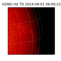 gong - 2024-09-01T08:00:22