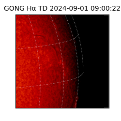 gong - 2024-09-01T09:00:22