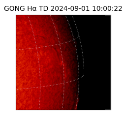 gong - 2024-09-01T10:00:22