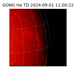 gong - 2024-09-01T11:00:22