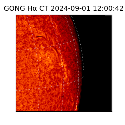 gong - 2024-09-01T12:00:42