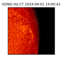 gong - 2024-09-01T14:00:42