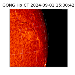 gong - 2024-09-01T15:00:42