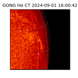 gong - 2024-09-01T16:00:42