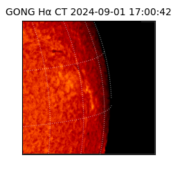 gong - 2024-09-01T17:00:42