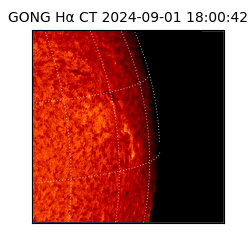 gong - 2024-09-01T18:00:42