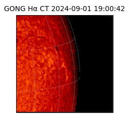 gong - 2024-09-01T19:00:42