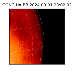 gong - 2024-09-01T23:02:02