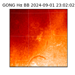 gong - 2024-09-01T23:02:02