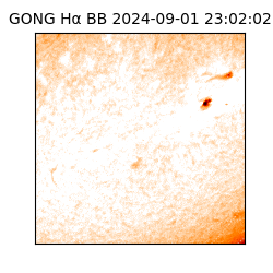 gong - 2024-09-01T23:02:02