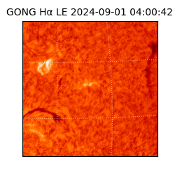 gong - 2024-09-01T04:00:42