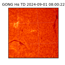 gong - 2024-09-01T08:00:22