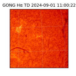 gong - 2024-09-01T11:00:22