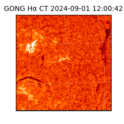 gong - 2024-09-01T12:00:42