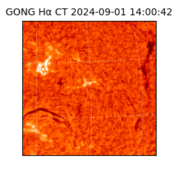 gong - 2024-09-01T14:00:42