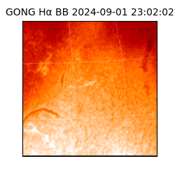 gong - 2024-09-01T23:02:02