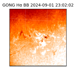 gong - 2024-09-01T23:02:02