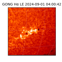 gong - 2024-09-01T04:00:42