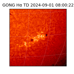 gong - 2024-09-01T08:00:22