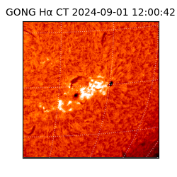 gong - 2024-09-01T12:00:42