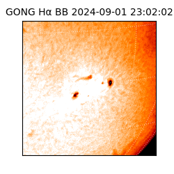 gong - 2024-09-01T23:02:02