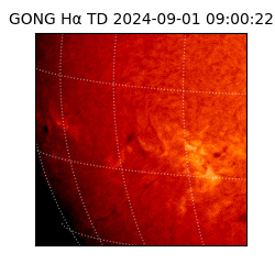 gong - 2024-09-01T09:00:22