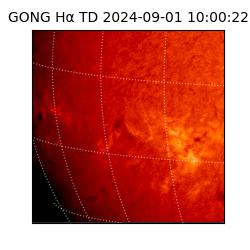 gong - 2024-09-01T10:00:22