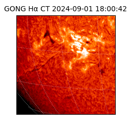 gong - 2024-09-01T18:00:42