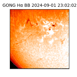 gong - 2024-09-01T23:02:02