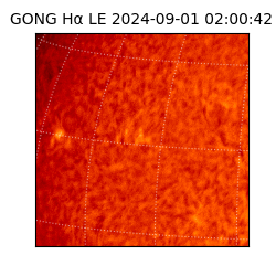 gong - 2024-09-01T02:00:42