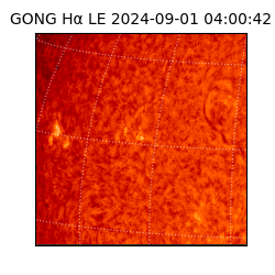 gong - 2024-09-01T04:00:42