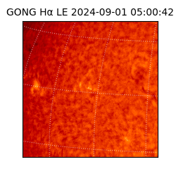 gong - 2024-09-01T05:00:42