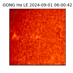 gong - 2024-09-01T06:00:42