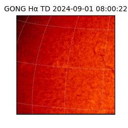 gong - 2024-09-01T08:00:22