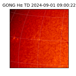 gong - 2024-09-01T09:00:22