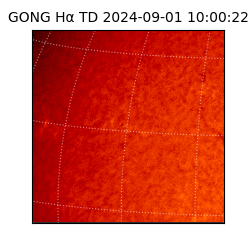 gong - 2024-09-01T10:00:22